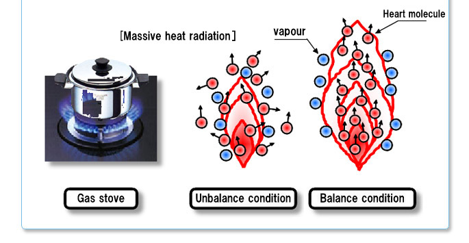 The balance improvement device for the combustion