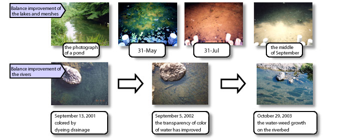 Balance improvement of the rivers, lakes, and marshes