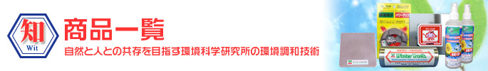 バランス改善 商品紹介